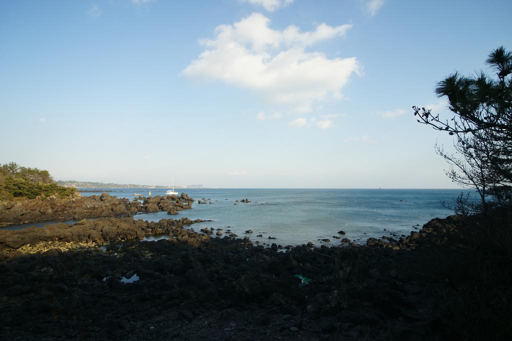 Sunny Day Jeju Villa Seogwipo Exterior photo