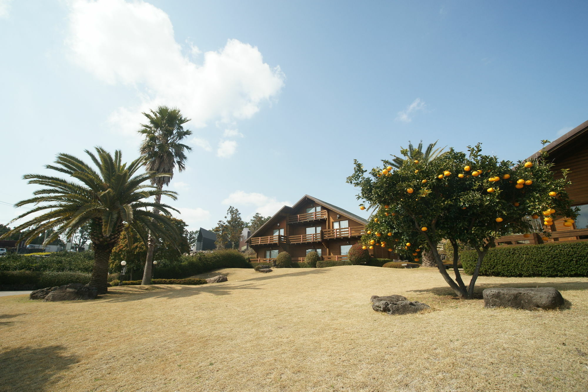 Sunny Day Jeju Villa Seogwipo Exterior photo